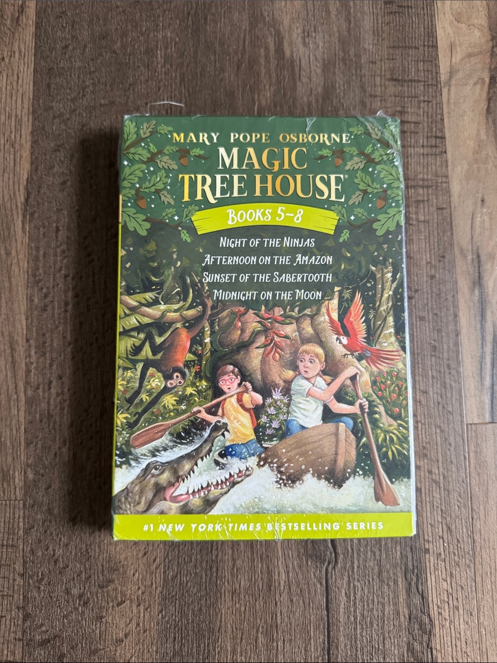 Magic Tree House book set (Books 5-8)